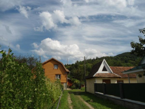 Гостиница Holiday home Lancedor  Яремче